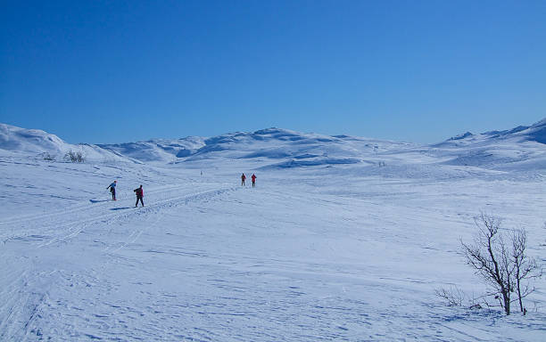 narciarstwo - telemark skiing zdjęcia i obrazy z banku zdjęć