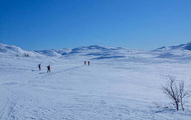 esqui - telemark skiing imagens e fotografias de stock