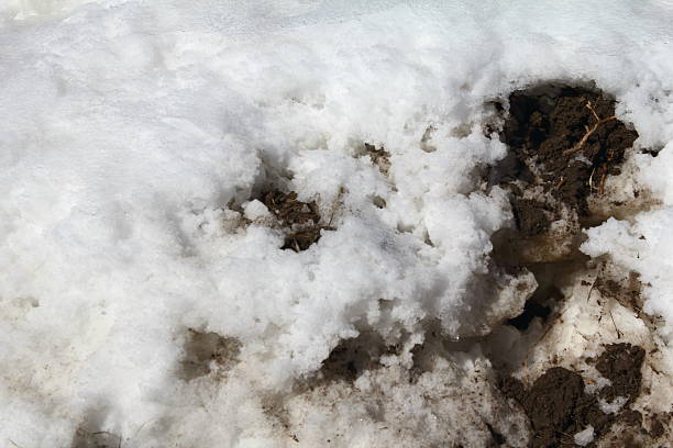 istock Mud in snow bank 510165994