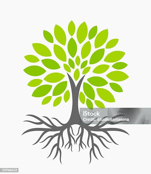 Tree With Roots Stock Illustration - Download Image Now - Tree, Root, Leaf