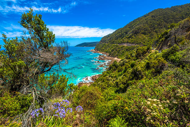 Great Ocean Road Victoria Spectacular view of the Great Ocean Road with its famous mountains, the winding road, cliffs, rocky beaches, the turquoise sea and its waves for surfing. lorne stock pictures, royalty-free photos & images