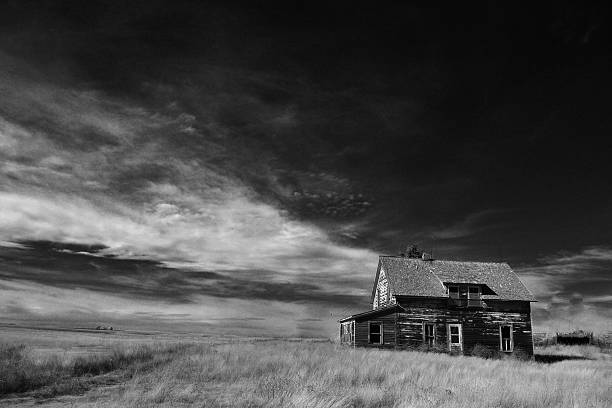 istock Ghost of the prarrie 510168704
