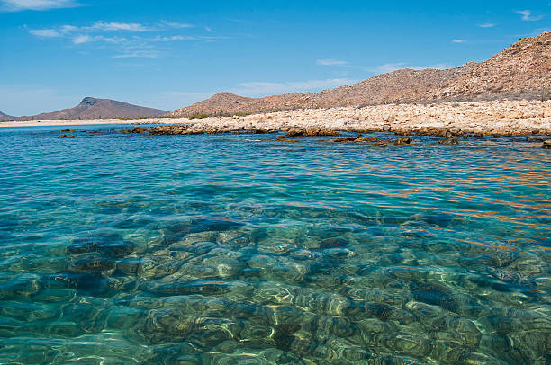 Baja California Sur The Espiritu Santo Island, in the Gulf of California sea of cortes stock pictures, royalty-free photos & images