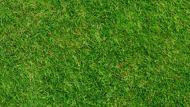 verde grass - bolzplatz fotografías e imágenes de stock