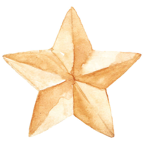 star 메달 9 주제라면 대제 국가주의 전쟁 벡터 격리됨에 - medal bronze medal military star shape stock illustrations