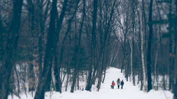 istock Winter walk in the woods 510176120