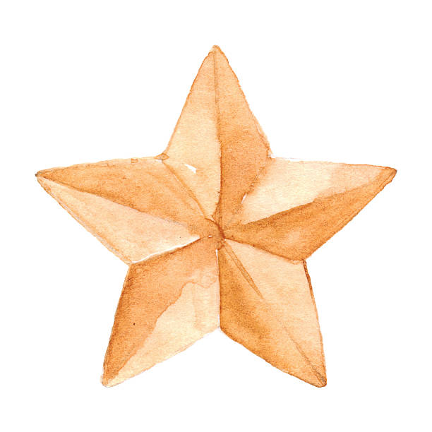 star 메달 9 주제라면 대제 국가주의 전쟁 격리됨에 - medal bronze medal military star shape stock illustrations