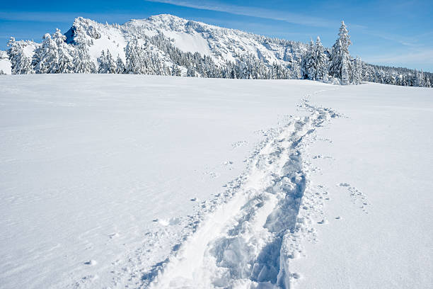 Snow shoe path in snow stock photo