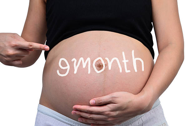 19 неделя беременности от зачатия 19 неделя беременности от зачатия