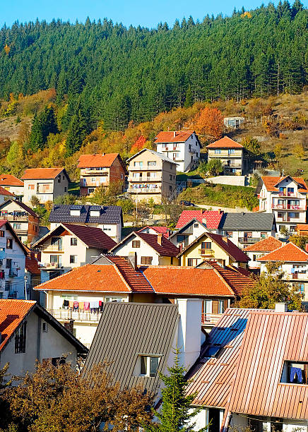 istock Village is mountains, Serbia 510180321