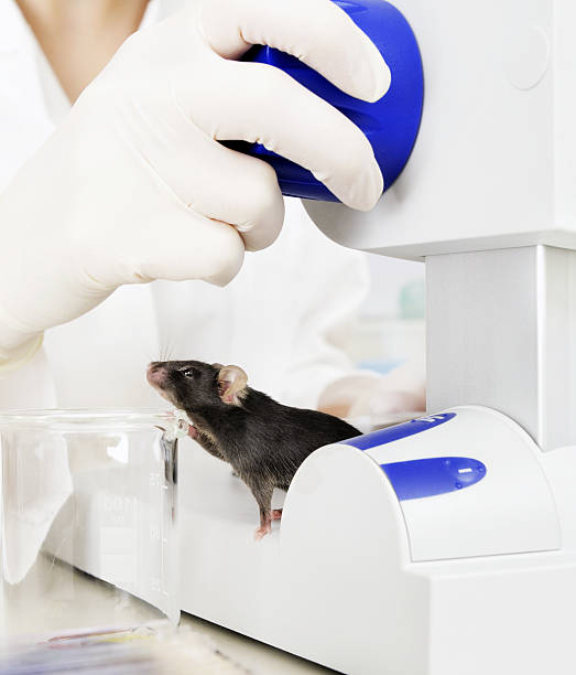 istock laboratory mouse tries to escape 510181695