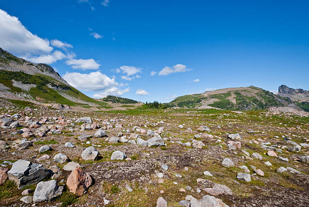 istock Boulders Scattered Across Ohanapecosh Park 510183167