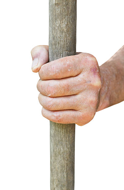 istock peasant hand holds old wooden stalk 510185105