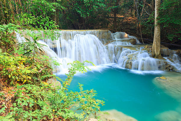 深い森の滝カーンチャナブリー県（タイ） - waterfall erawan tropical rainforest tree ストックフォトと画像