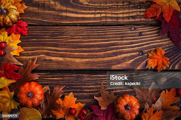 Decoración De Otoño Foto de stock y más banco de imágenes de Acontecimiento - Acontecimiento, Arce, Borde