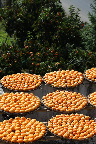 istock Yellow persimmon under the sun 510200581