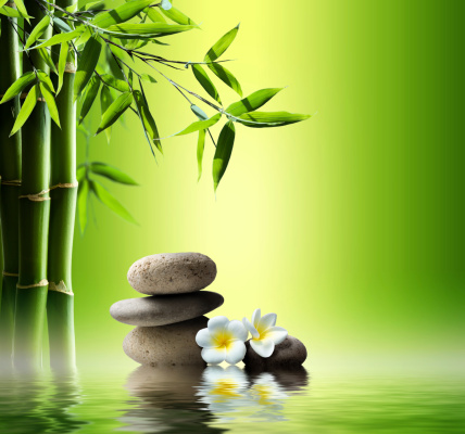 green bamboo, plumeria flowers and stones