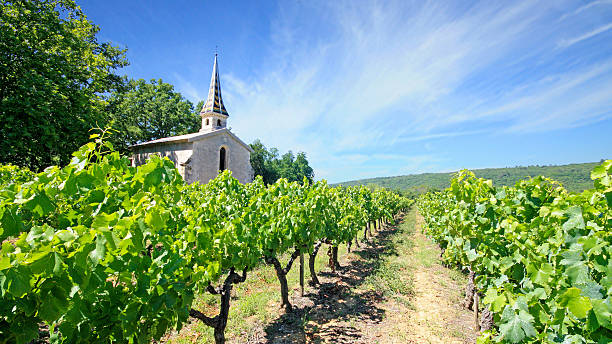 istock France - Chartreuse de Valbonne 510203203