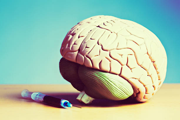 istock Model brain with blood-filled hypodermic 510203745