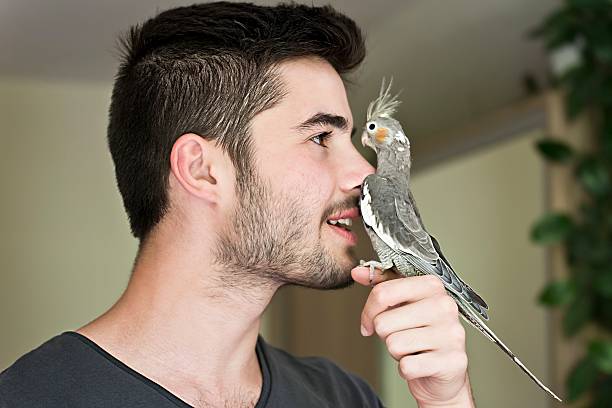 istock Attractive man playing with his parrot indoors 510205499
