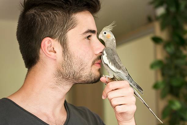 istock Attractive man playing with his parrot indoors 510205503