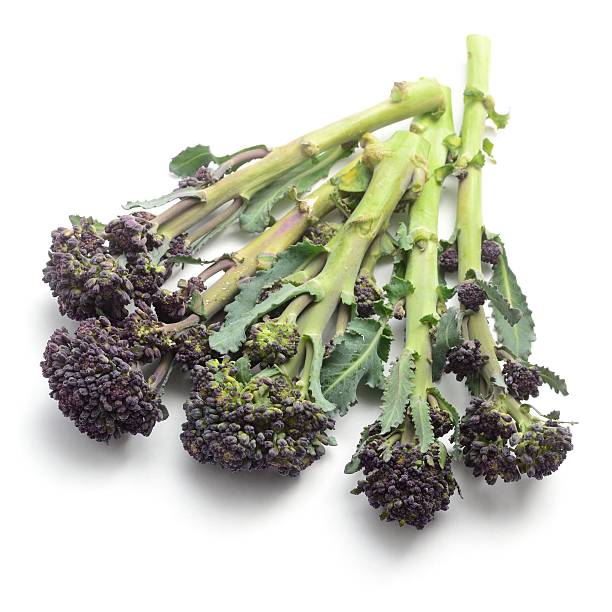 istock Purple sprouting broccoli stems from above 510211020
