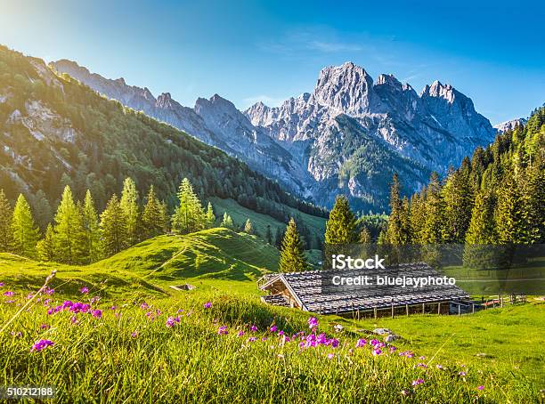 Idyllische Landschaft Der Alpen Bergchalet Im Frühling Stockfoto und mehr Bilder von Sommer