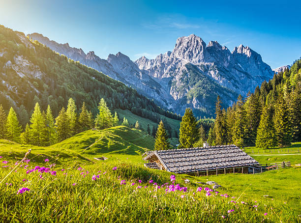 sielankowy krajobraz w alpach z górskiej daczy w wiosennym - european alps germany landscaped spring zdjęcia i obrazy z banku zdjęć