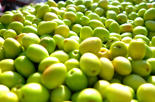 Green Jujube in sun