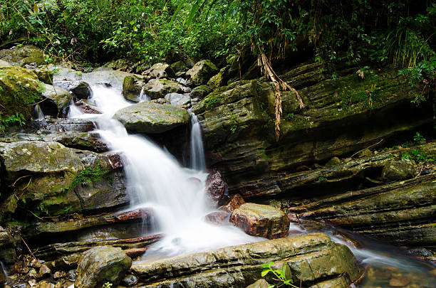 Rocky waterfall at El Yunque National Forest in Puerto Rico Rocky waterfall at El Yunque National Forest in Puerto Rico. el yunque rainforest stock pictures, royalty-free photos & images