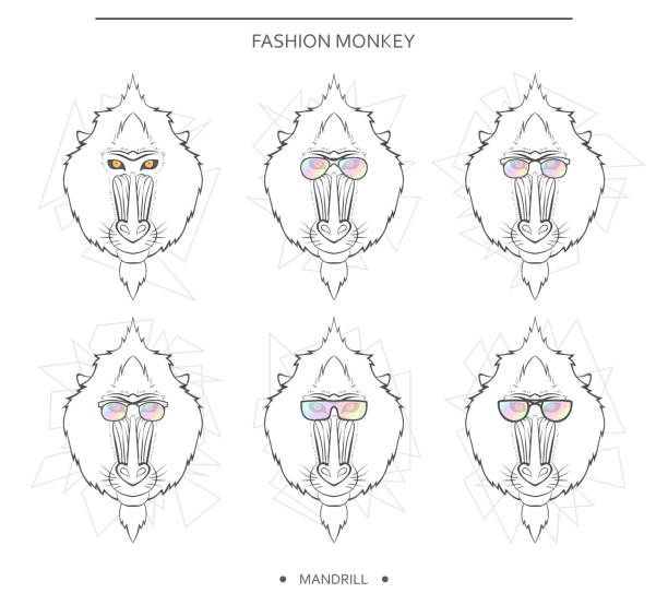 Isolated set monkey muzzles in linear style and different glasses Isolated set of monkey muzzles in a linear style and in different glasses. Symbol of 2016 in the Chinese horoscope . Mandrill for design . Monkeys in hipster retro style. monkey head howler monkey stock illustrations