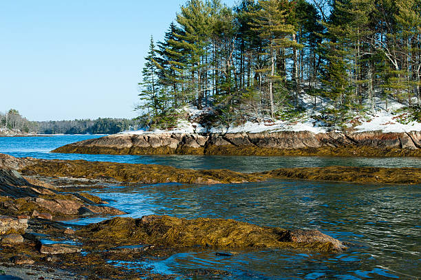 Wolfe's Neck State Park, Freeport, Maine in winter