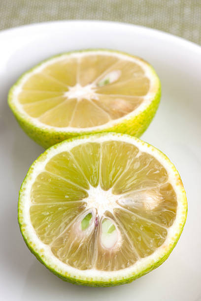 istock Japanese citrus named sudachi. 510215842