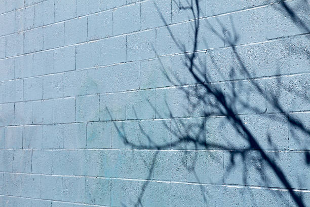 istock Shadow of a branch on a blue block wall 510215934
