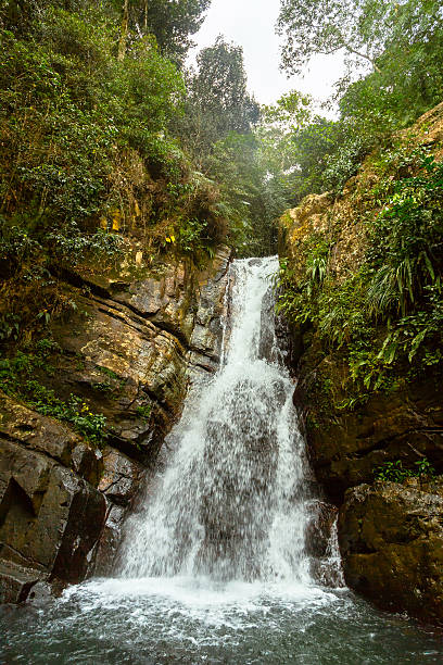 La Mina Falls in El Yunque Waterfall in El Yunque el yunque rainforest stock pictures, royalty-free photos & images