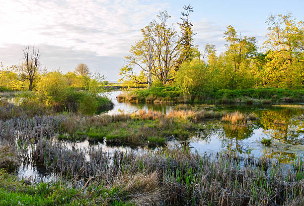 Nisqually National Wildlife Refuge
