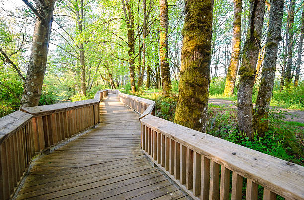 nisqually refugio nacional de vida silvestre - olympia washington fotografías e imágenes de stock