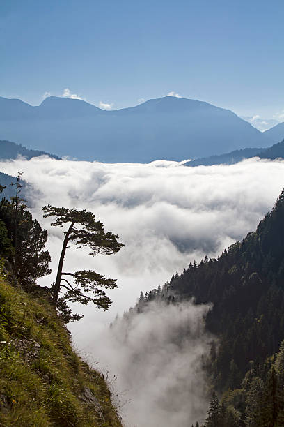 autunno nebbia nella valle della loisach - inversion layer foto e immagini stock