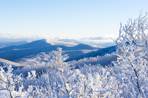 Hiking along the Appalachian Trail in the winter snow-covered landscape at the Roan Highlands