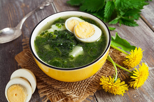 Soup of nettles with eggs stock photo