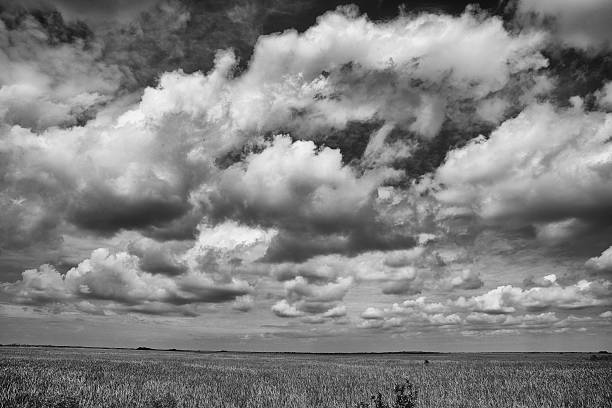 istock The river of grass 510222900