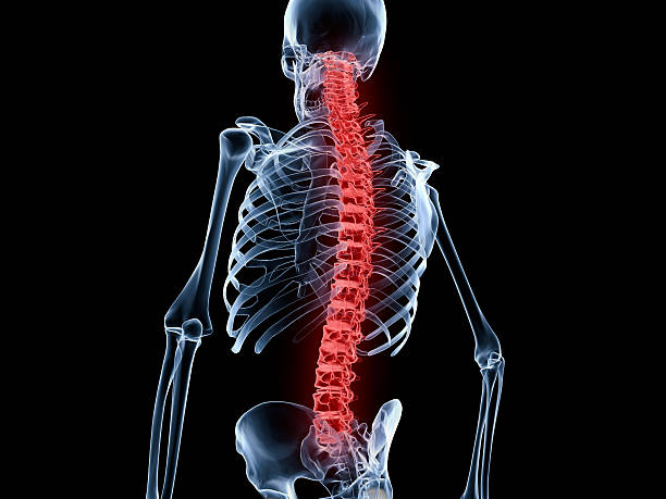 istock Back Pain, Spine 510223259