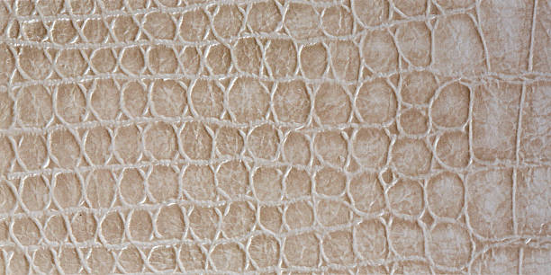 istock Surface of the wallpaper is beautiful. 510224225