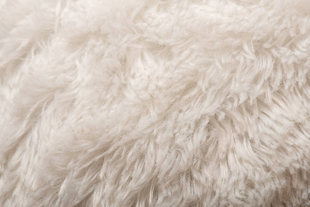 istock Close-up view of carpet  texture used as background 510224257
