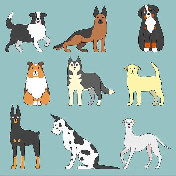 Vector illustration of various dogs