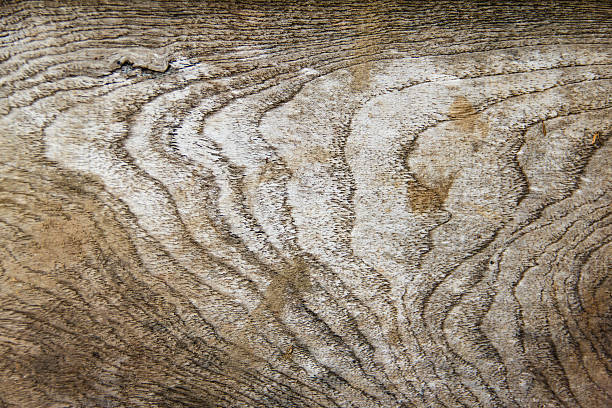 木の質感を与えます。抽象的な背景 - wood sign old plank ストックフォトと画像