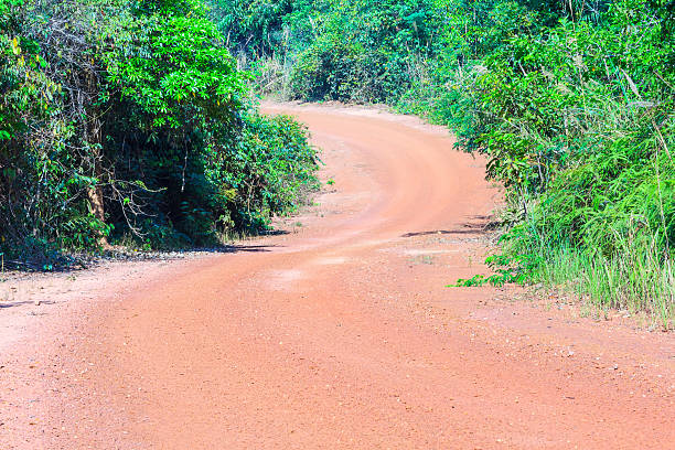 istock Road in Asian forest 510226945