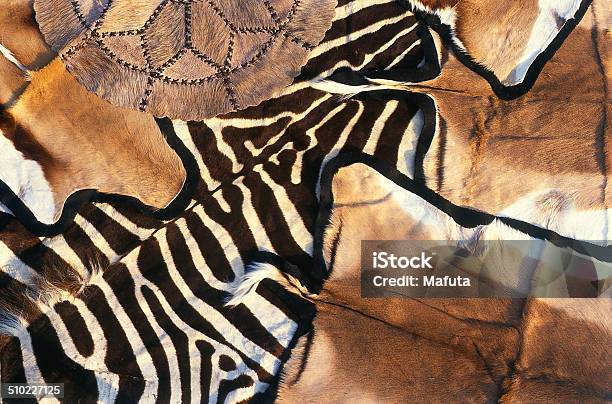 African Animal Skins Stock Photo - Download Image Now - Rug, Zebra Print, Animal  Skin - iStock