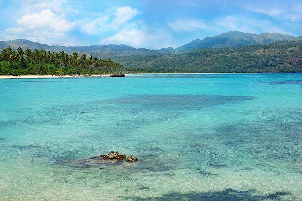 Virgin beach, Samana peninsula, Dominican Republic , playa rincon Virgin beach, Samana peninsula, Dominican Republic , playa rincon playa rincón stock pictures, royalty-free photos & images