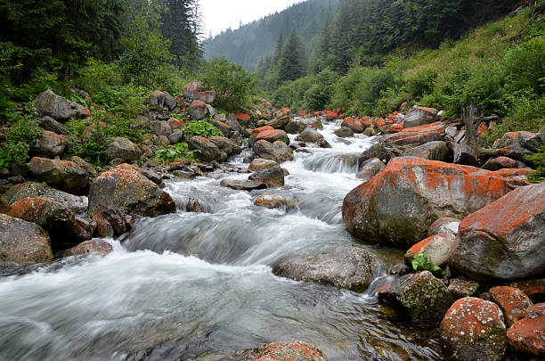 istock Mountain river, Retezat mountains, Carpathians, Romania 510228633